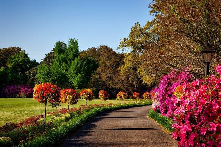 attractively curbed lawn