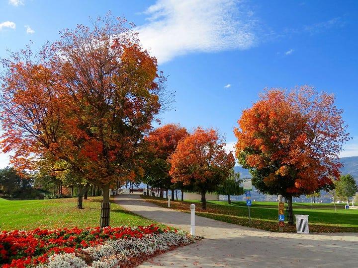 beautiful curb landscape