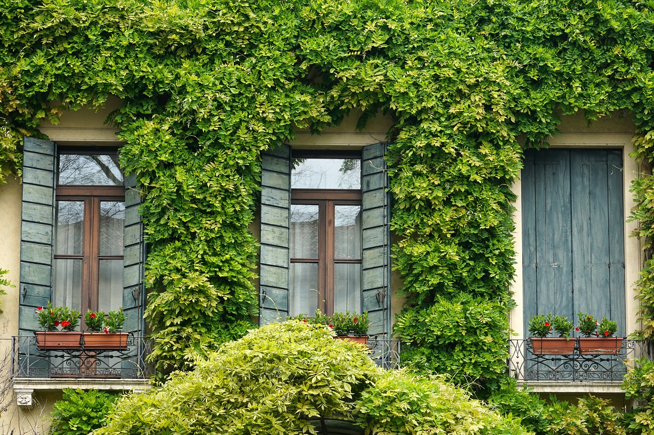 window of real estate house